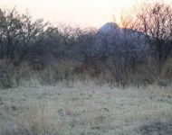 IMG 0356